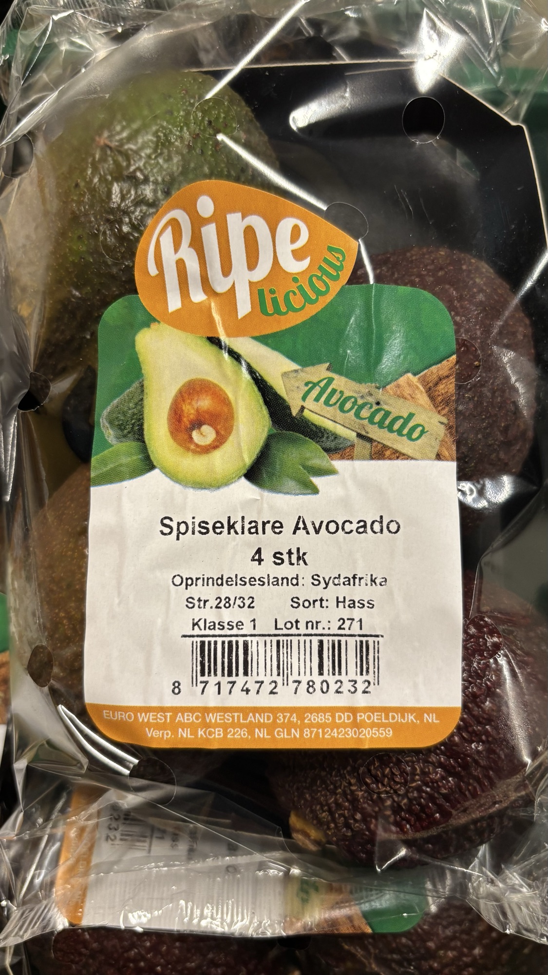 Avocado