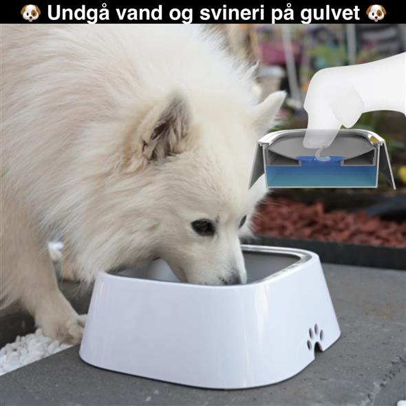 🐶😍Spildfri vandskål til kæledyr😍🐶