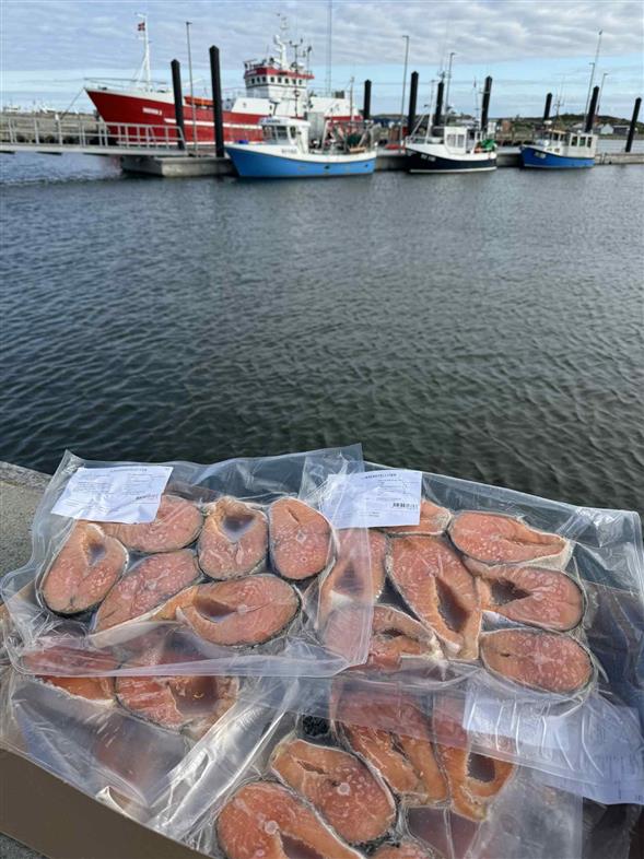 🐟 LAKSEKOTELETTER 🐟