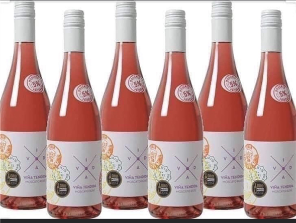 Vida vina tenida