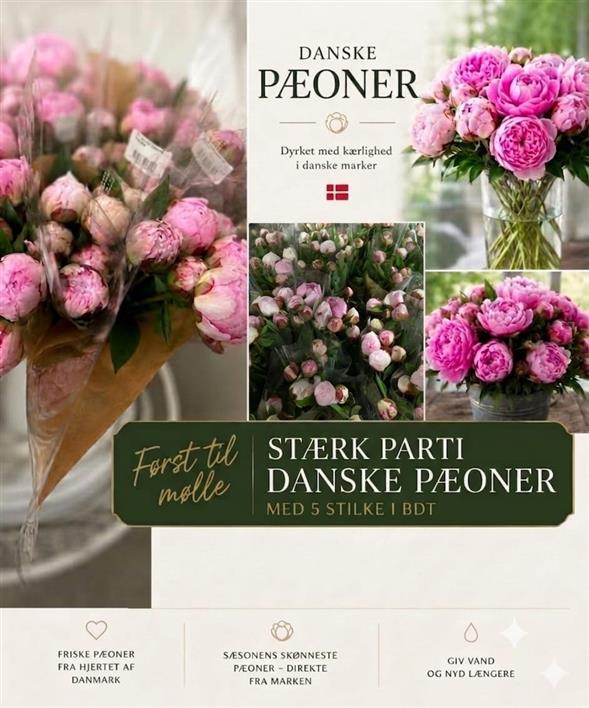 DANSKE FRILANDS PÆONER ✨🌸